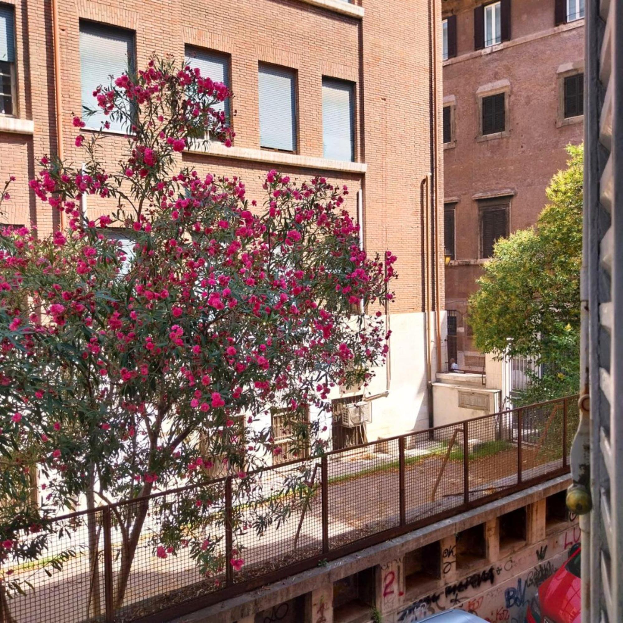 Sunhouserome Roma Exterior foto